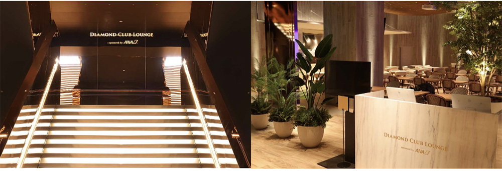 ダイヤモンドクラブラウン