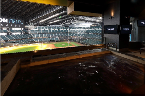 tower eleven onsen & sauna（onsen）