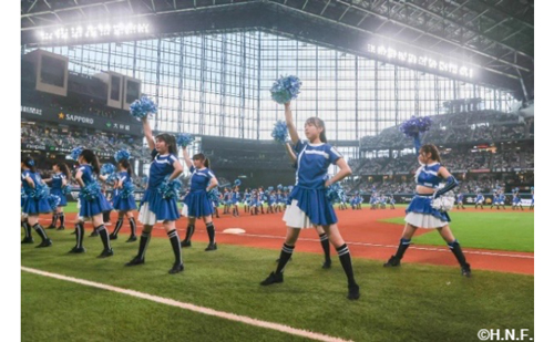 ファイターズガール②