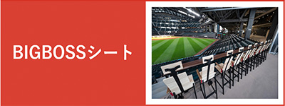 BIGBOSSシート