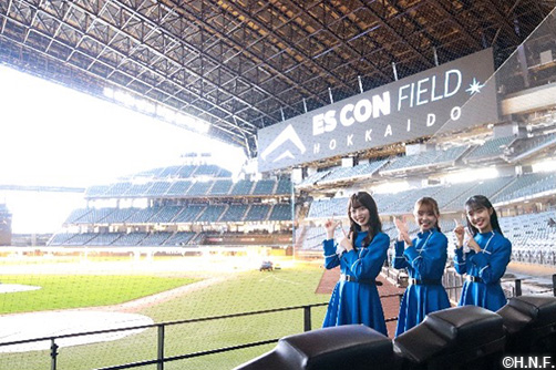 ファイターズガール