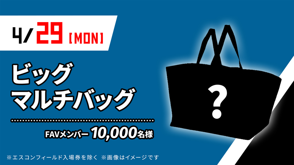 ビッグマルチバッグ