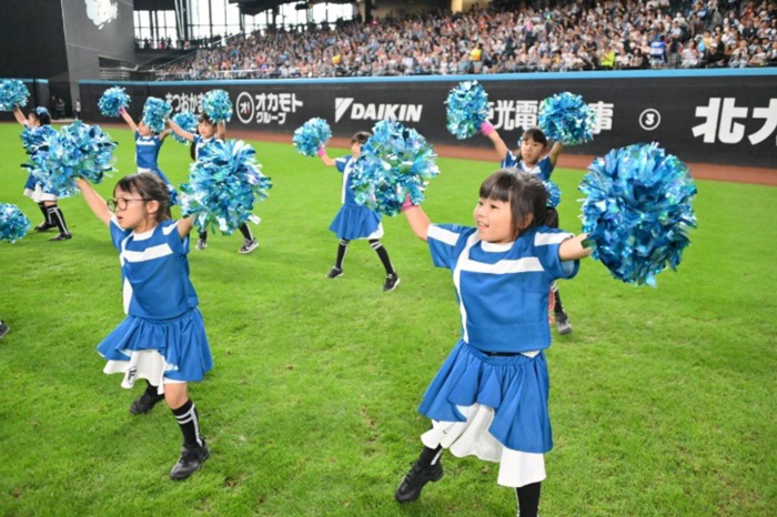 ファイターズガール