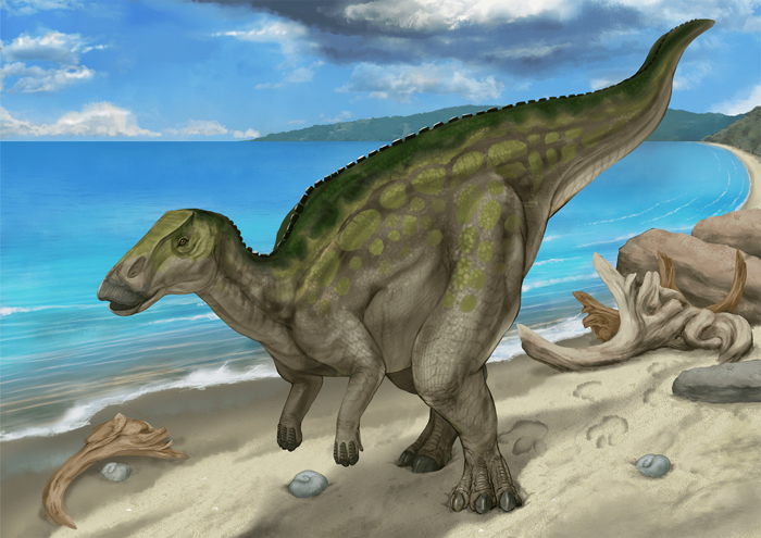 カムイサウルス