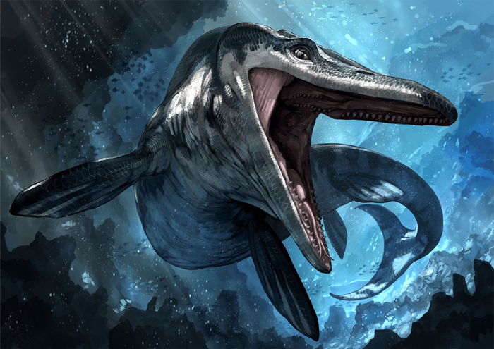 エゾミカサリュウ