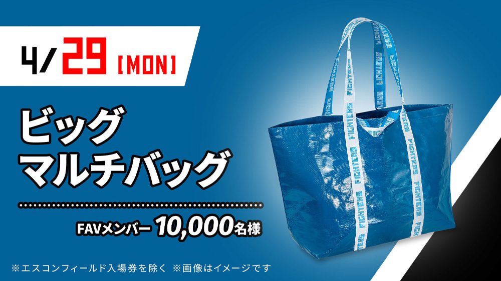 ビッグマルチバッグ