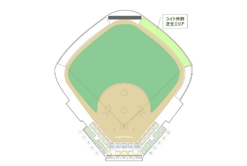 ライト外野芝生エリア