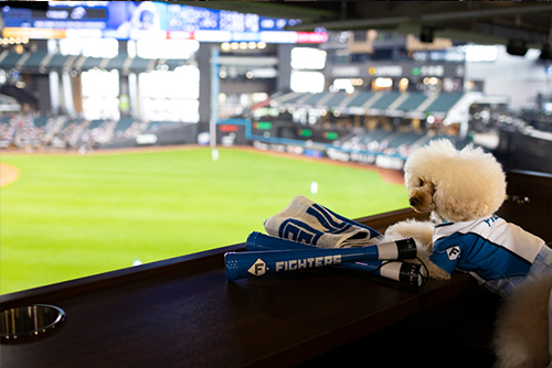 ユニ・チャーム マナーウェアドッグスイート01