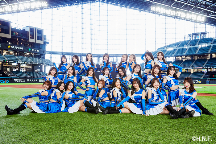 ファイターズガール