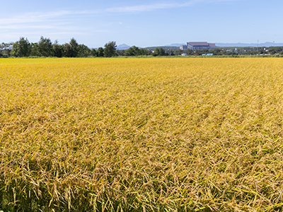 タカシマファーム2