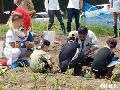 北海道農業を体験の様子④