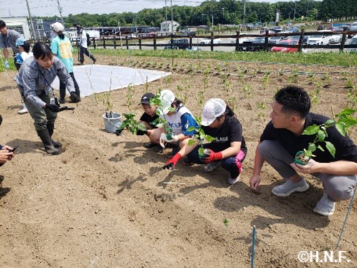 北海道農業を体験の様子⑤