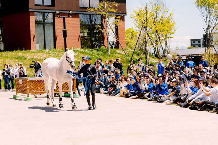 リーゼントブルース号