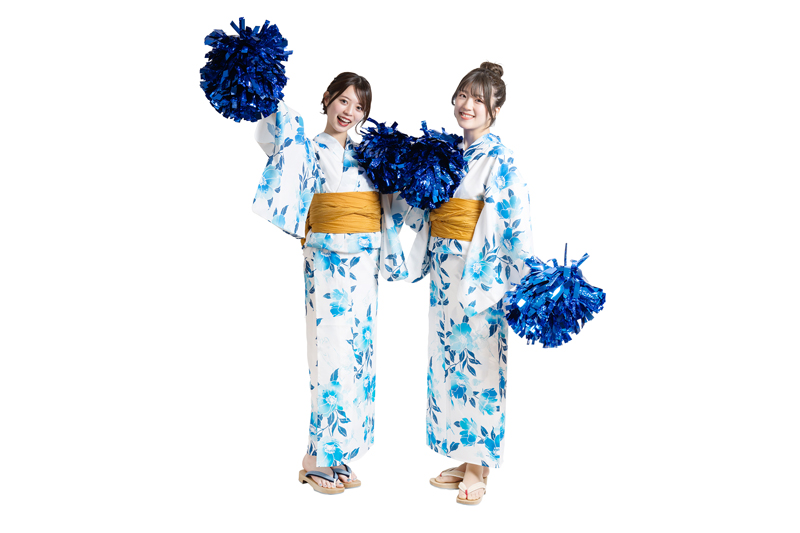 ファイターズガール