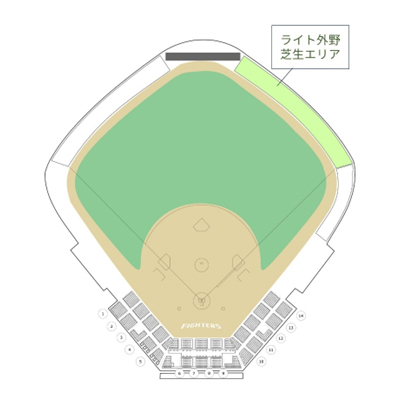 ライト外野芝生エリア01