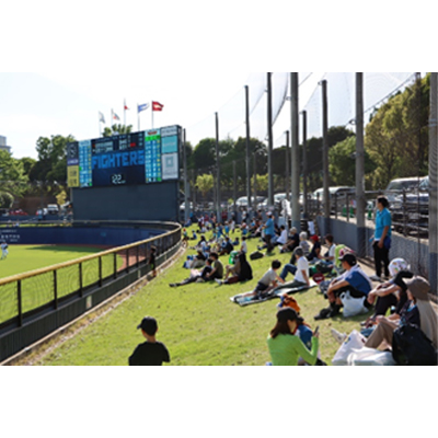 ライト外野芝生エリア02