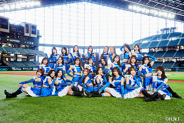 ファイターズガール