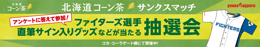 ガラポン抽選会