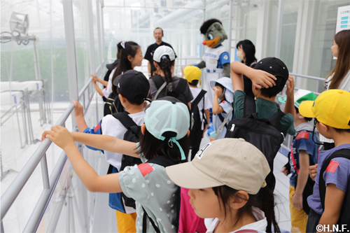 KUBOTA AGRI FRONT見学02