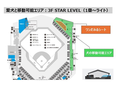 球場内の移動可能エリア