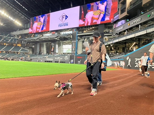 試合終了後グラウンドウォーク