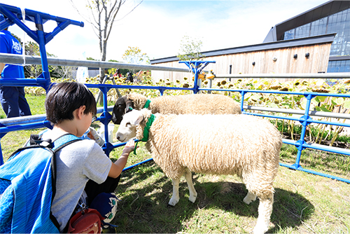 KUBOTA presents AGRI WEEK in F VILLAGE 03