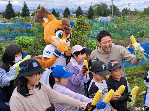 とうもろこしとピーマンを収穫01