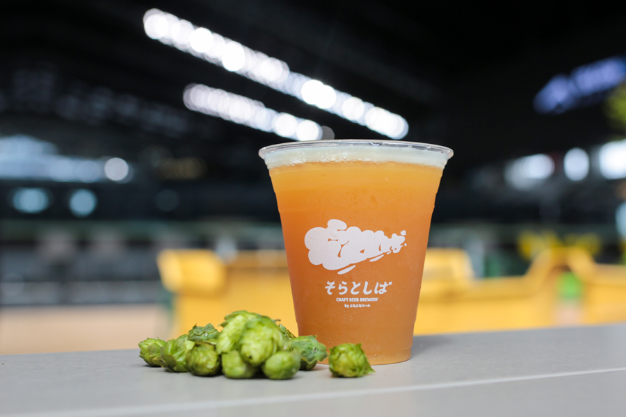 そらとしば　クラフトビール　北海道限定　エスコン　日本ハム　ファイターズ　24缶 ボールパークの一杯 自宅でも 限定缶ビール24日発売：北海道新聞