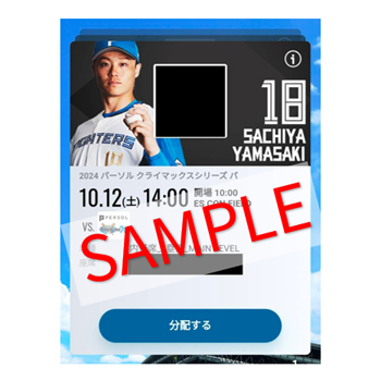 電子チケット券面