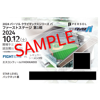 紙チケット券面