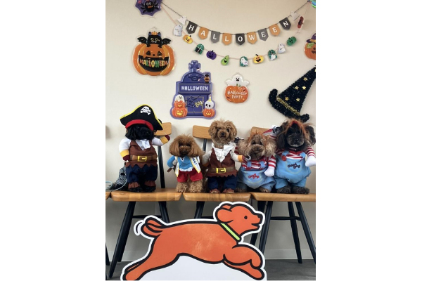 ハロウィン コスプレ オフ会