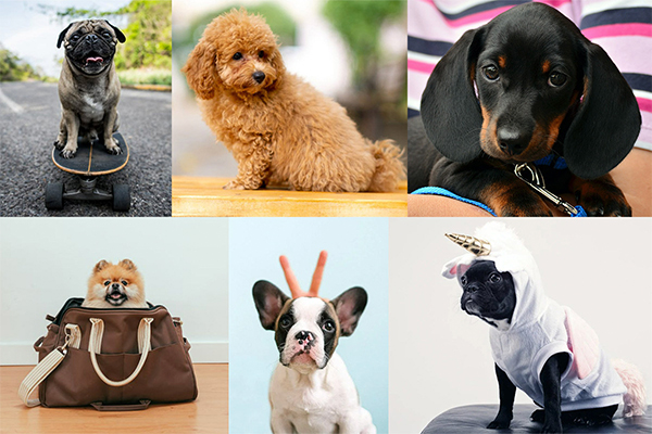 ハロウィン コスプレ オフ会