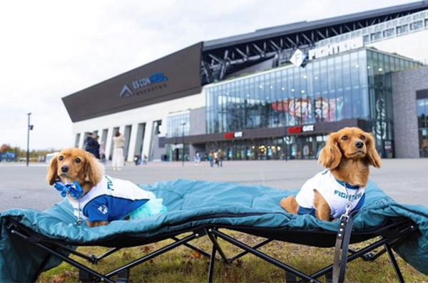 わんにゃんハート撮影会2