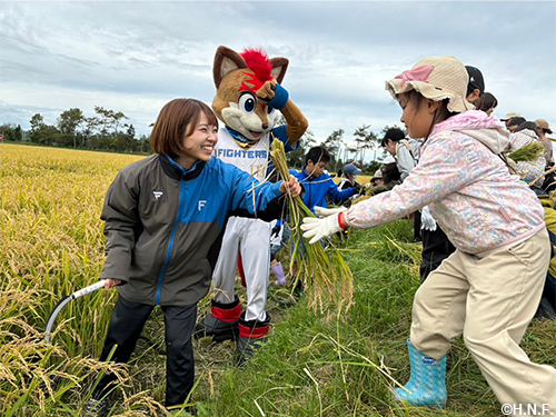 ファイターズガール活動内容05