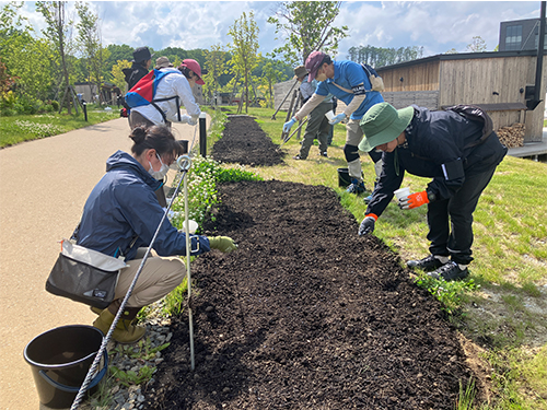 Fビレッジガーデンサポーター活動02