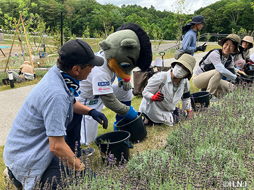 Fビレッジガーデンサポーター活動03