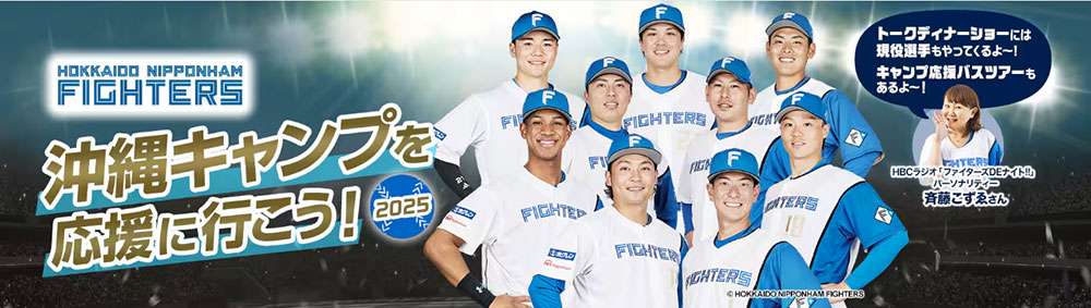 日ハム ファイターズ 帽子 ANA 2019 春季キャンプ 沖縄キャンプ 激レア 日ハム ファイターズ 帽子 ANA 2019 春季キャンプ 沖縄キャンプ