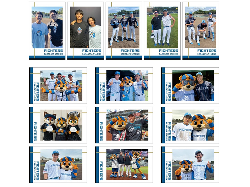 鎌スタチェキ風ステッカー（14種類の中からいずれか3枚）