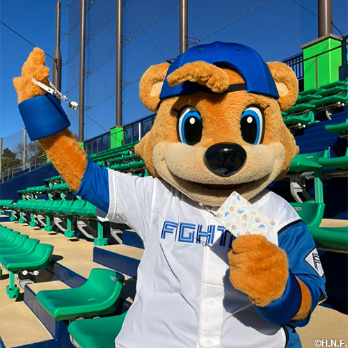 オリジナルパスケースC・B