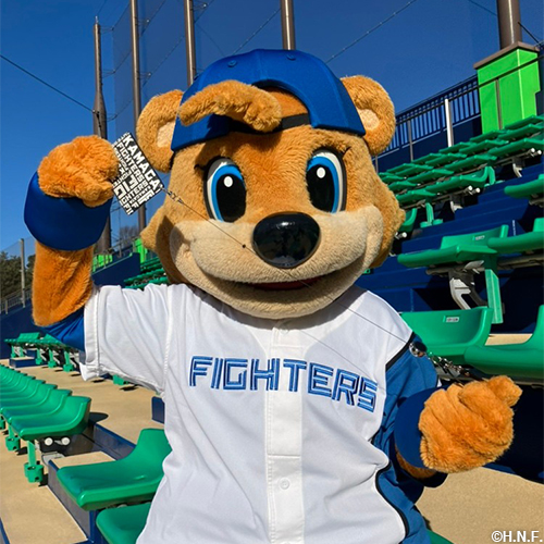 オリジナルパスケースC・B