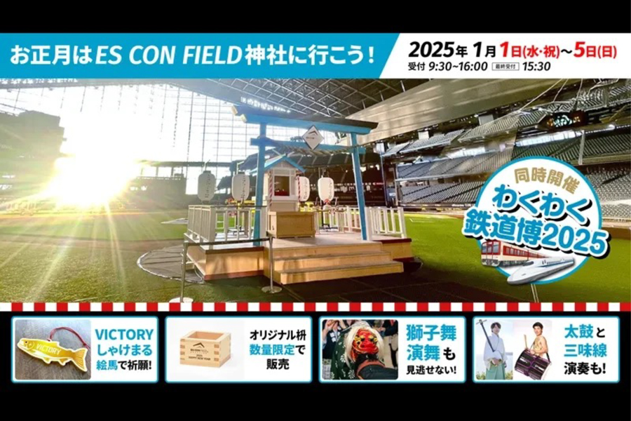 北海道日本ハムファイターズ エスコンフィールド 1周年 記念球 ボール 北海道日本ハムファイターズ エスコンフィールド 1周年 記念球
