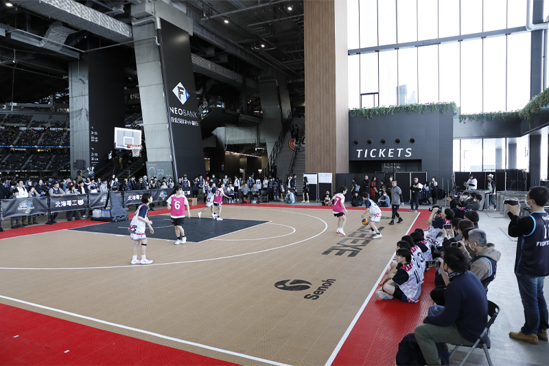 Basketball Wonderland