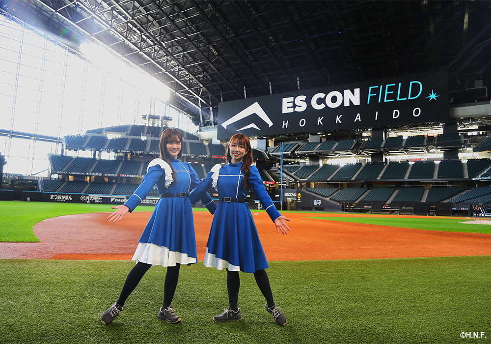 ファイターズガール