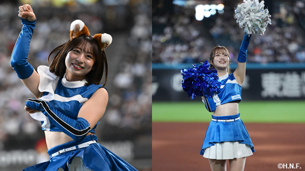 ファイターズガール