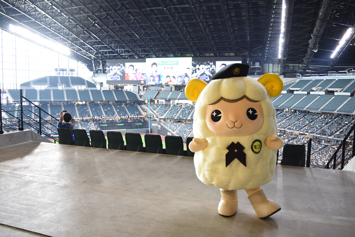 「羊のモコ」ちゃん