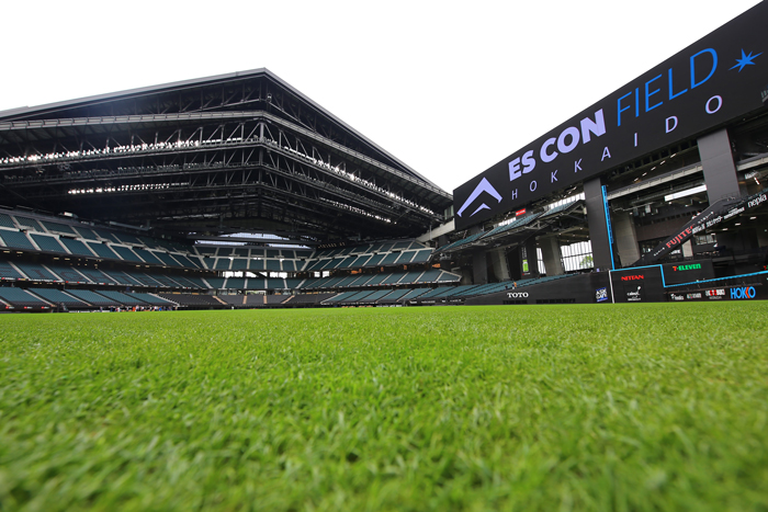 天然芝メンテナンス体験1