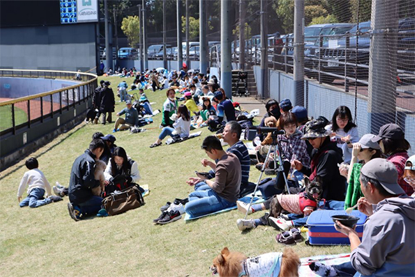 ペット同伴観戦エリアの様子