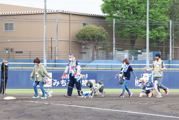 ペットと一緒にベースランニングの様子
