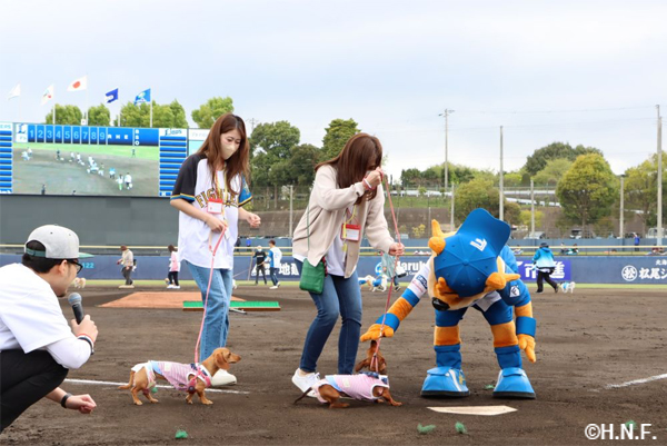 ペットと一緒にベースランニングの様子