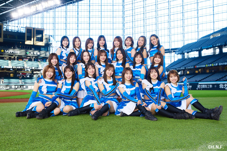 ファイターズガール